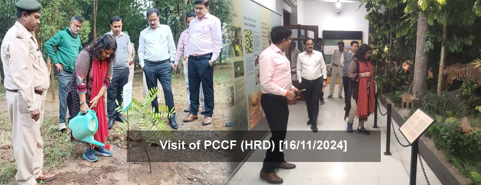 Visit of PCCF (HRD) [16/11/2024]