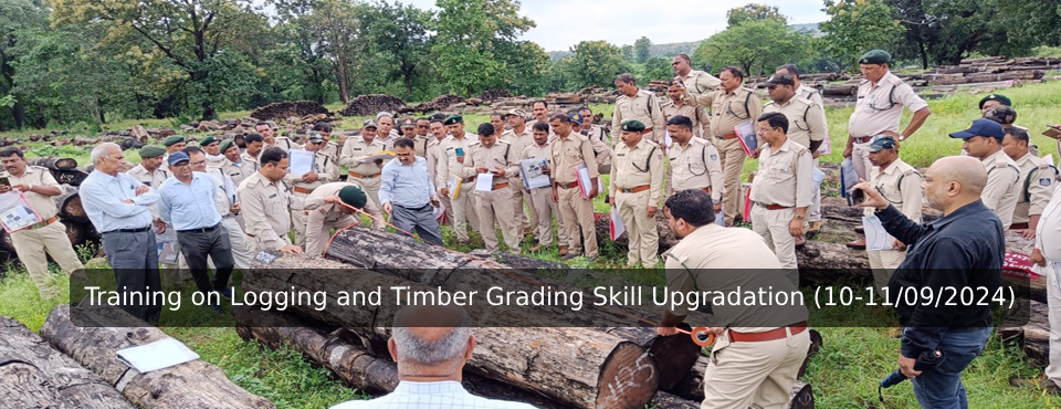 Training on Logging and Timber Grading Skill Upgradation (10-11/09/2024)